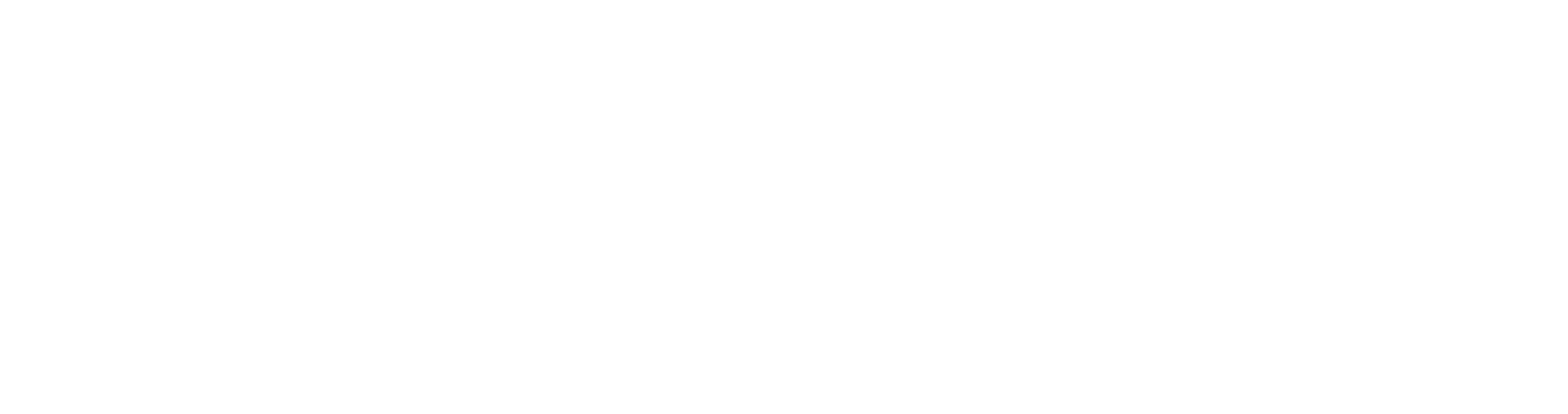 Amsterdam Schipol airport logo