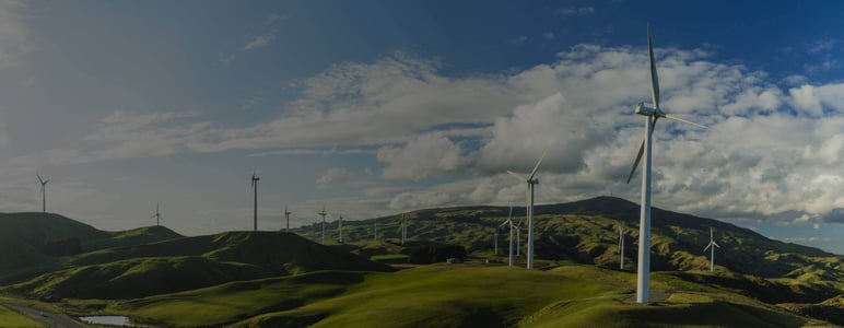 Bird viewer for Wind Farms and Ecology