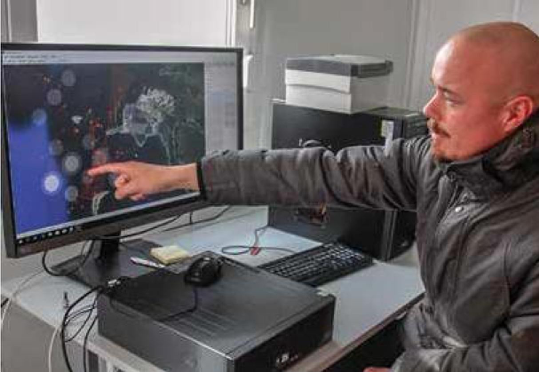 BIRD RADAR ECHO MAPPING