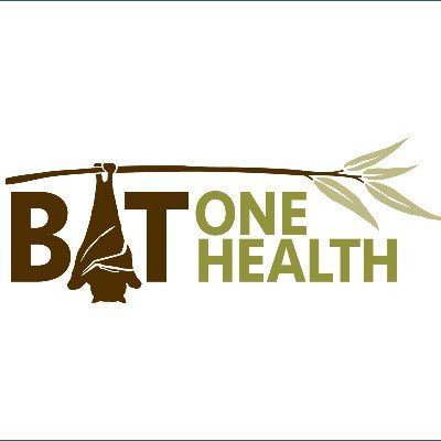 batonehealth-1