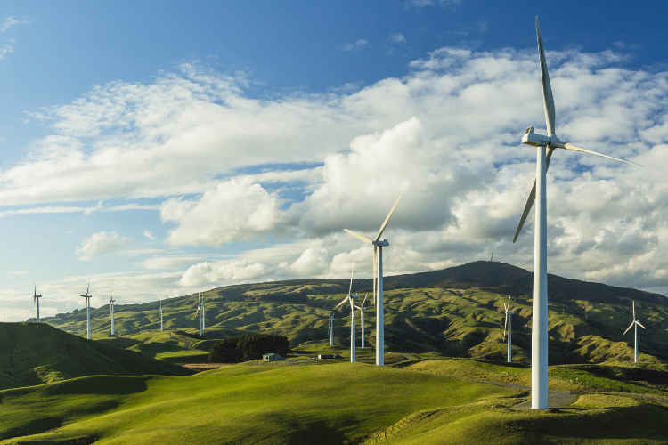 New technologies are reducing bird mortality at wind farms like this one