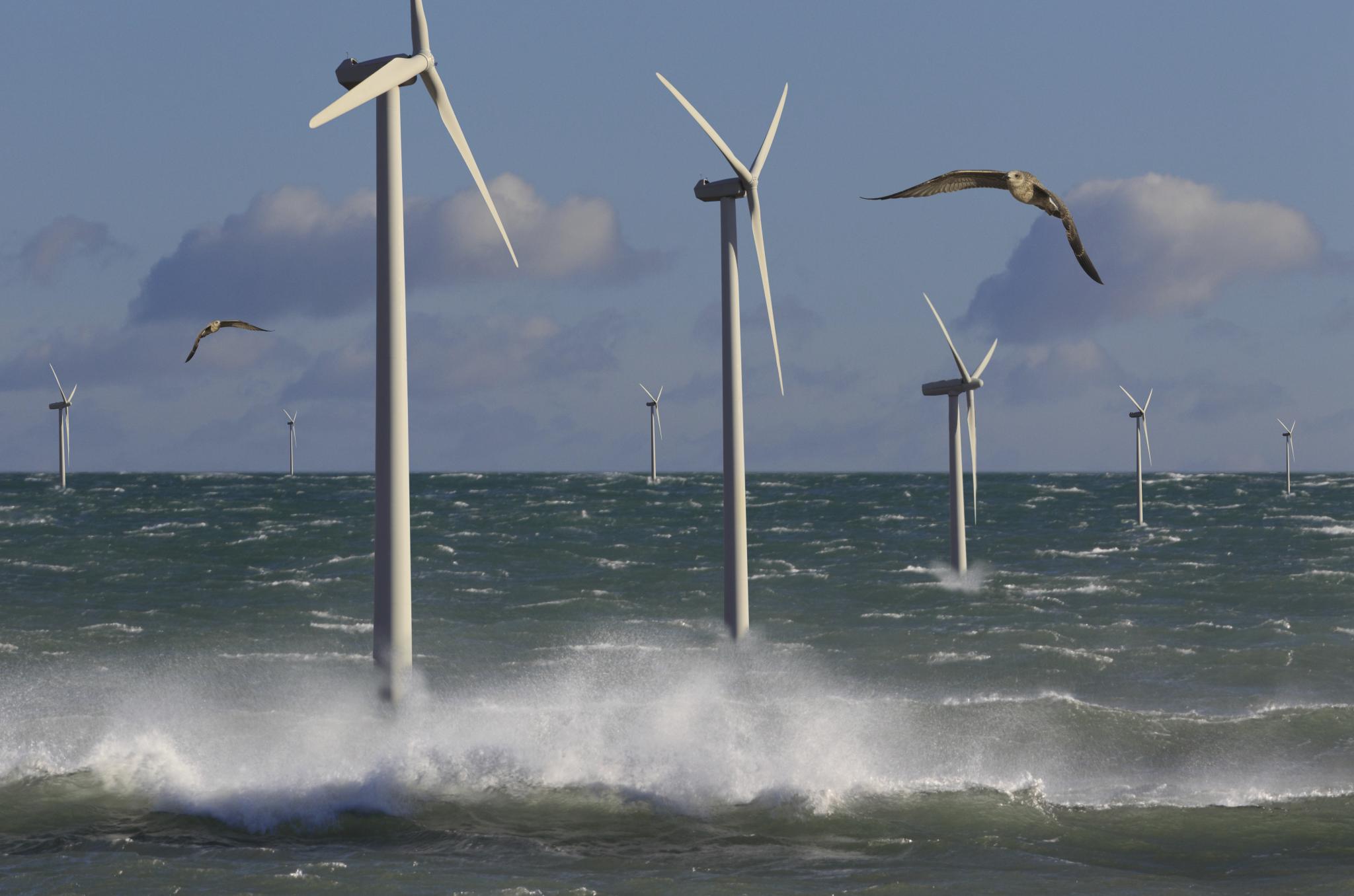 Robin Through to Next Round Offshore Wind Innovation Challenge
