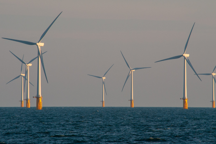 Offshore wind farm