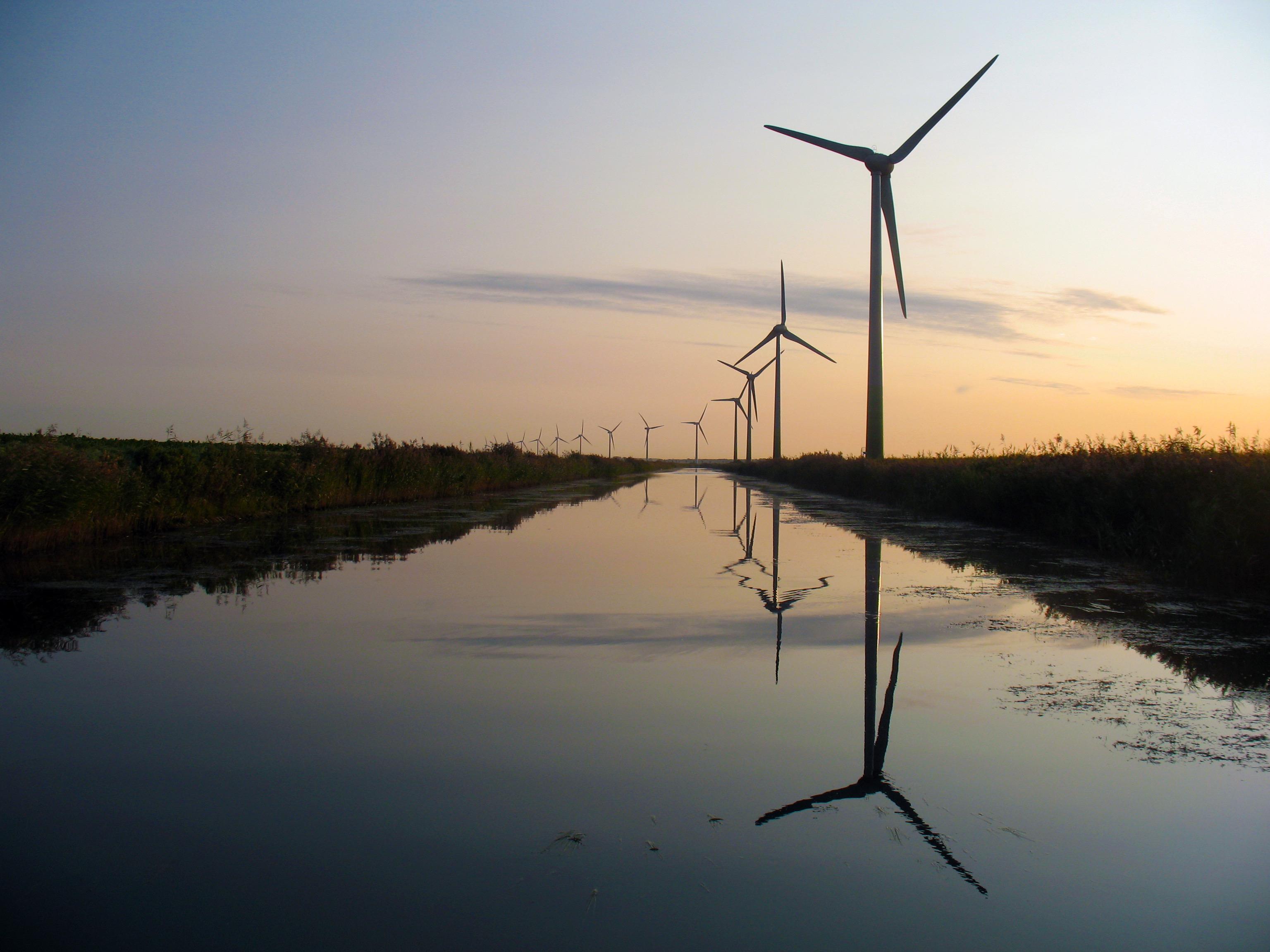 wind farm in the netherlands