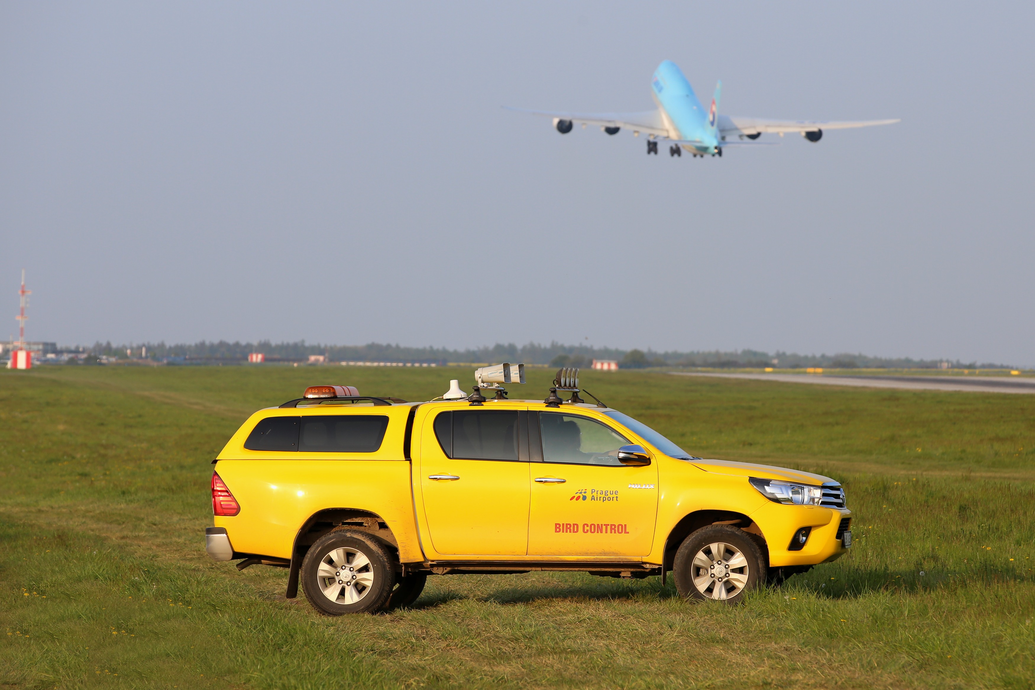 bird control vehicle 